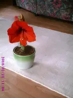 PIC00192.webp