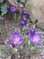 Bild 096.webp