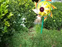 100_2102.webp