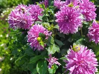 IMG_20230730_150111.webp