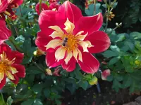 IMG_20221003_145014.webp