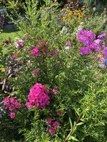 D276F0D9-CFAF-4FFB-909A-DB3DB7BBB429.jpeg