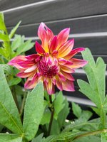 20230809_080735.jpg