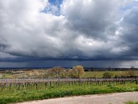 Ein Unwetter zieht auf.jpg