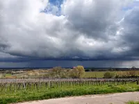 Ein Unwetter zieht auf.webp