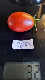 20230810_174235.jpg