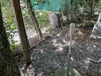 IMG_9221.jpeg