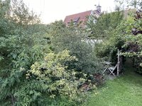 IMG_2596.jpeg
