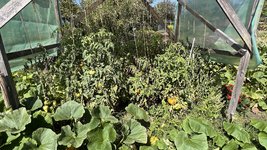 IMG_7168.jpeg