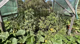IMG_7168.jpeg