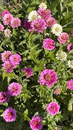 IMG_7173.jpeg