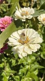 IMG_7177.jpeg
