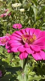 IMG_7178.jpeg