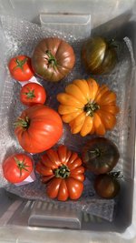 IMG_7182.jpeg