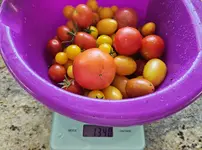 20230812_104437.jpg
