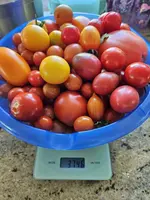 20230812_112214.webp
