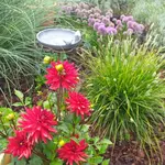 20230812_110858.webp