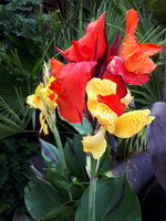 20230812_135539.jpg