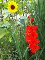 20230812_135133.webp