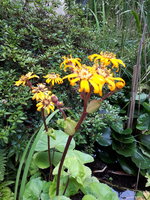 20230812_141157.jpg