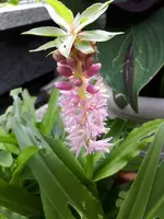 20230809_124921.webp