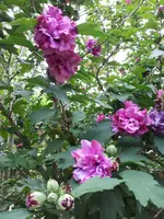 20230808_102003.webp