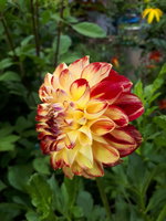 20230808_101818.jpg