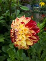 20230808_101818.webp