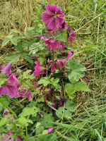 IMG_20230805_162937.webp