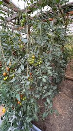 IMG_7199.jpeg