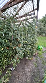 IMG_7200.jpeg