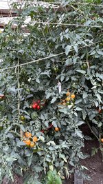 IMG_7219.jpeg