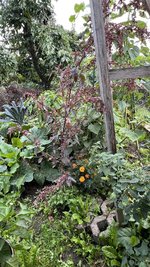 IMG_7209.jpeg