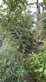 IMG_7207.jpeg
