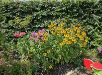 20230812_233511.webp