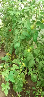 20230813_090344.webp