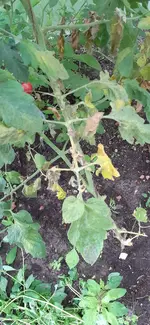 20230813_090411.webp