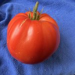 IMG_7249.jpeg
