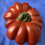 IMG_7252.jpeg