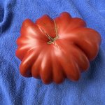 IMG_7253.jpeg