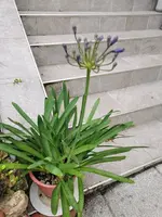 IMG_20230730_074803.webp