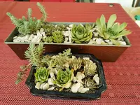 IMG_20230813_123438.webp