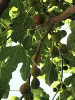 IMG_20230813_103055.webp