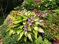 IMG_20230806_101336.webp