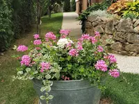 IMG_20230702_123711.webp