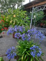 20230813_185806.jpg