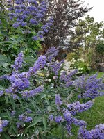 20230813_190125.jpg