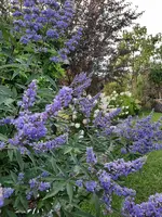 20230813_190125.webp
