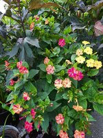 20230813_190933.jpg