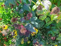 IMG_20230813_151407.webp